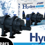 hydra stream