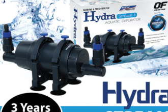 hydra stream