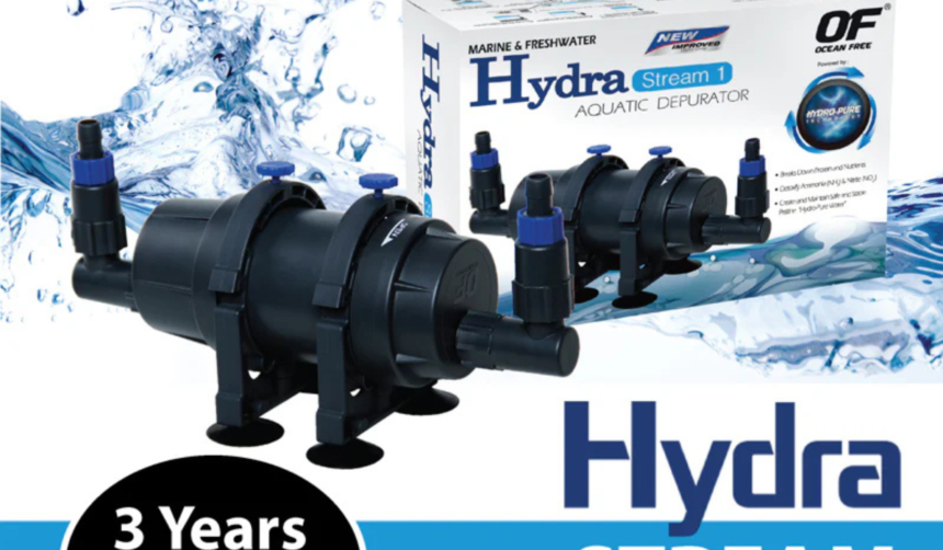 hydra stream
