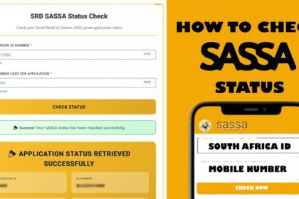 sassa status
